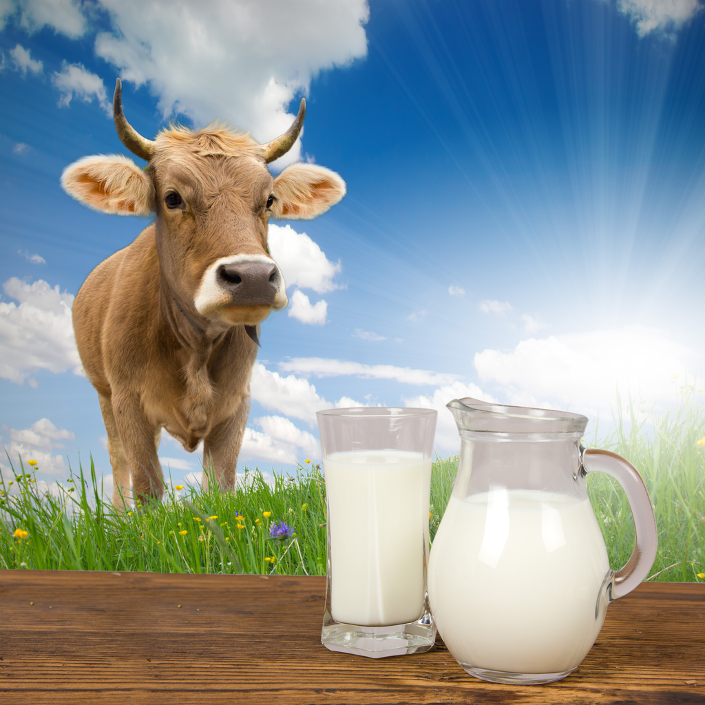 Did you know that most milk alternative drinks contain too little iodine?