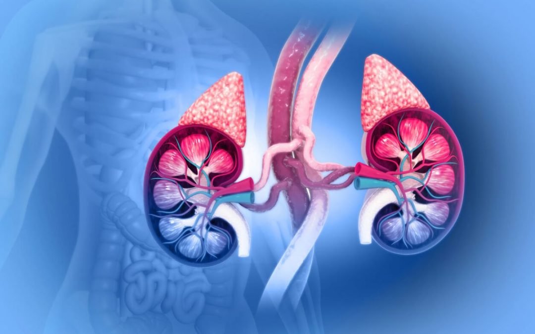 About Phaeochromocytoma