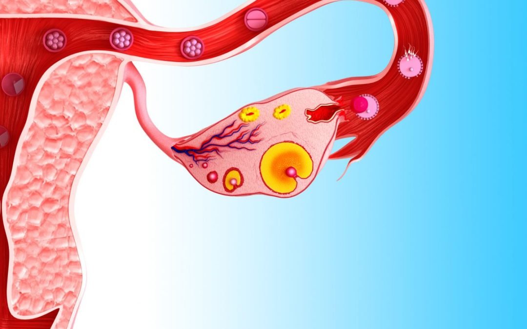 About anovulation