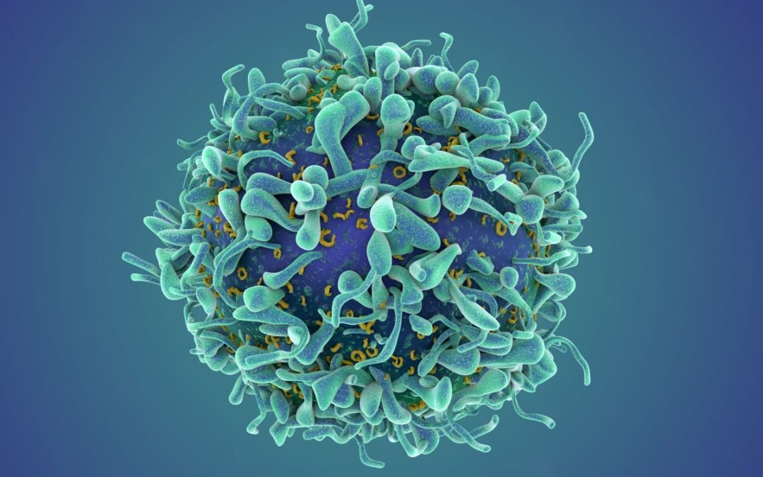Endocrine disorders as a side effect of immunotherapy drugs