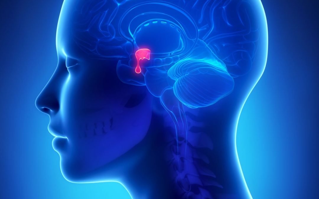 The facts about prolactinomas (a benign tumour of the pituitary gland)
