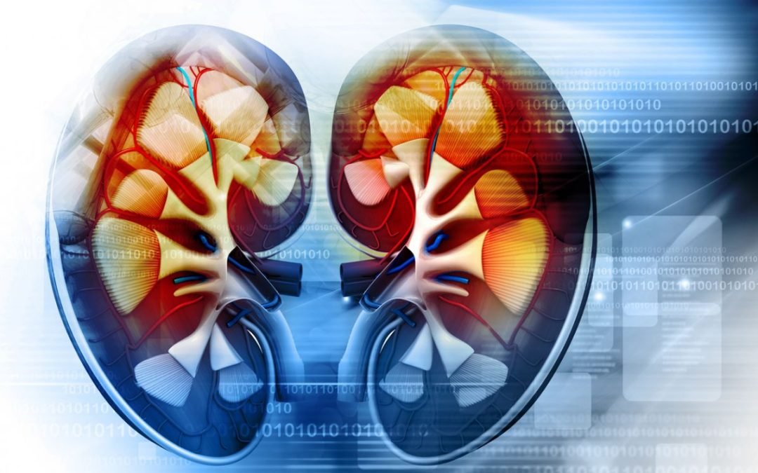 There’s no such thing as adrenal fatigue