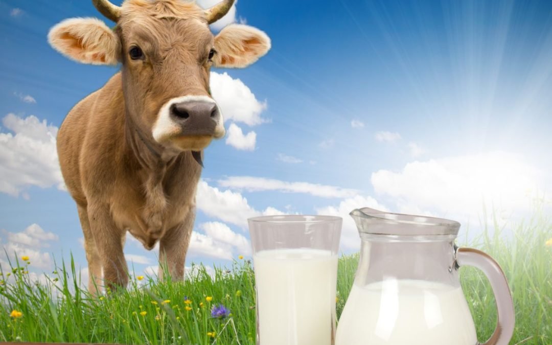 Milk alternative drinks and too low iodine levels